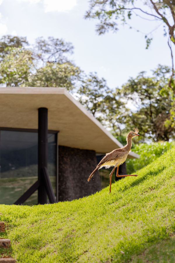   Casa Seriema   Luisa Lage /  Tetro Arquitetura