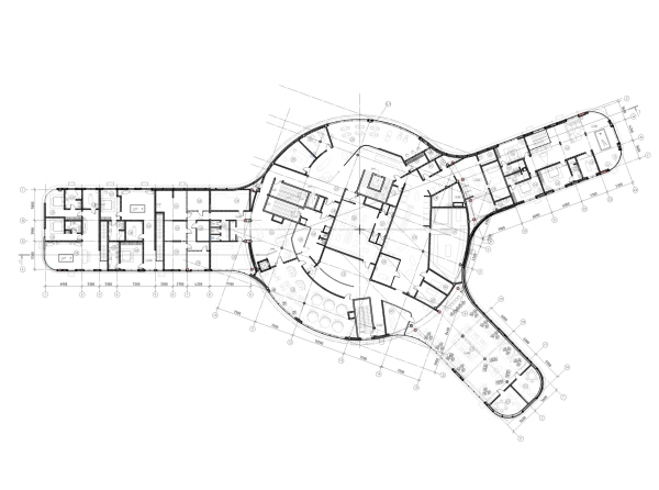 -   .  2025.  2   DBA-GROUP