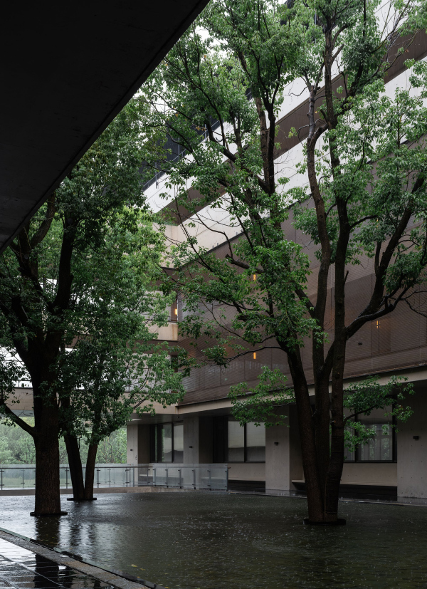     Luo Canhui / Vector Architects