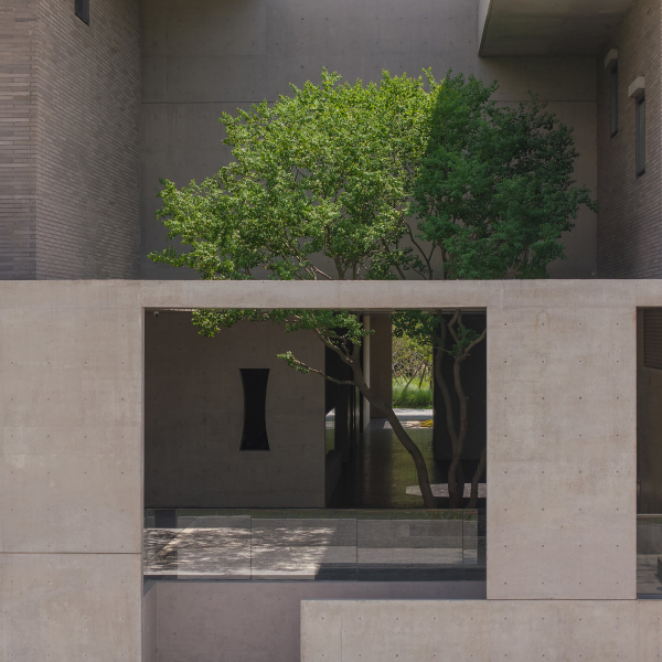     DONG / Vector Architects