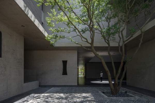     DONG / Vector Architects