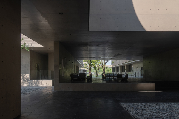     DONG / Vector Architects