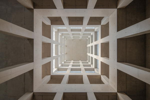    DONG / Vector Architects