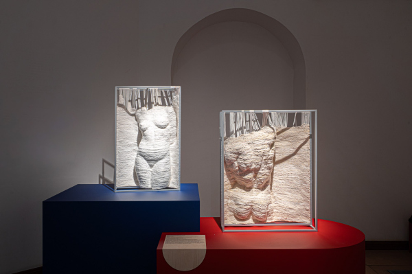  V           /  PSCulture
