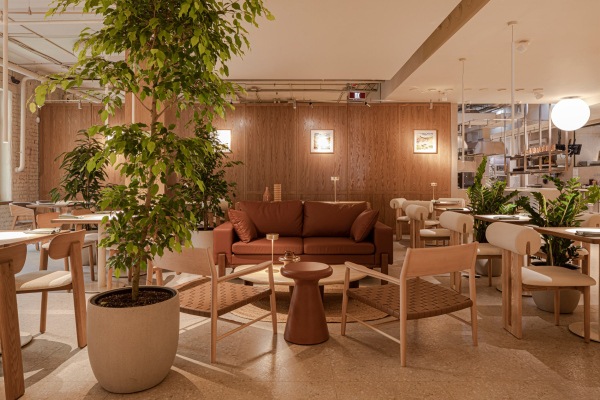     : LOOK UP & UPSKILL     /  Pergaev Bureau