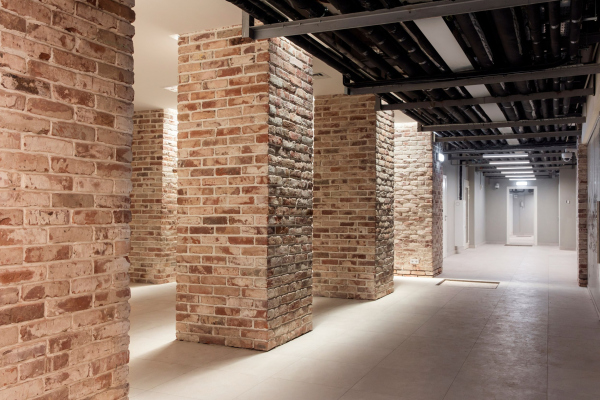 Reconstruction of the Bobrinsky House