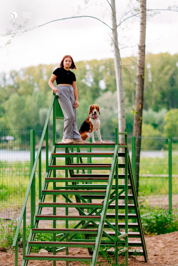 ��������� ���� �Ҹ���� �����. �������� ��� ������� � �������� ���������� � ��������� ��������� / ������������� �������� �������� ������� � ��� �������������