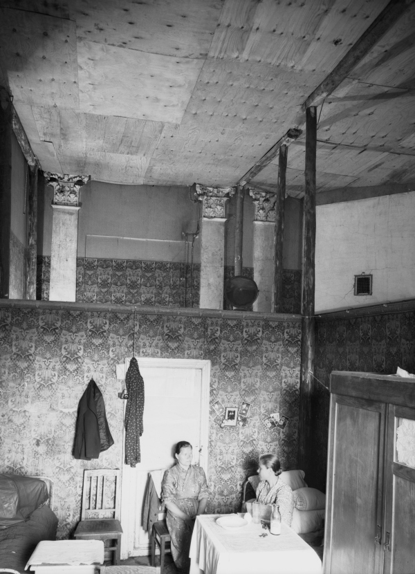     
 1950-.
   . ..    