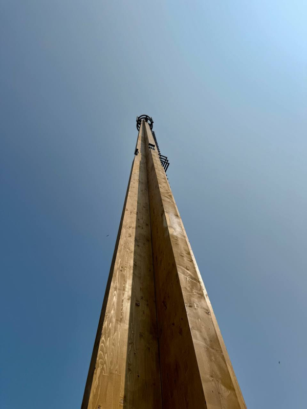          /  