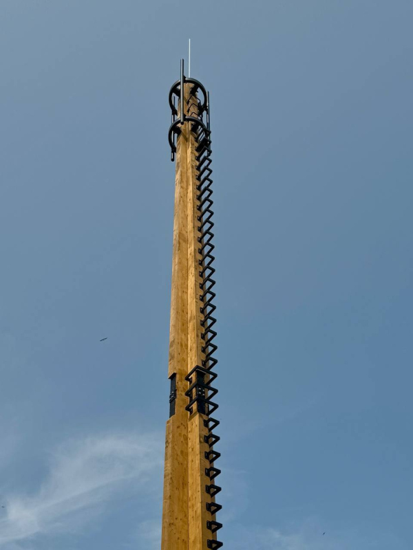           /  