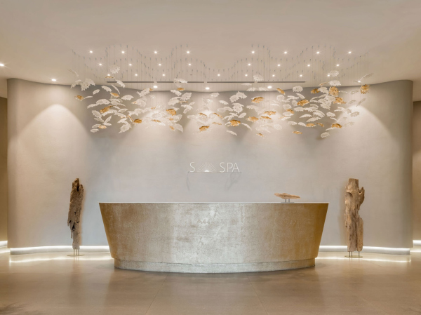 SIAM SPA. 1      /  Haast
