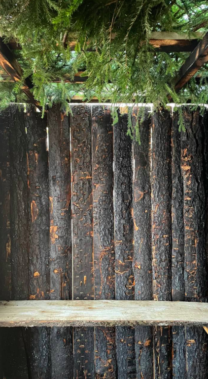  2:  -,   +     + /  WOOD