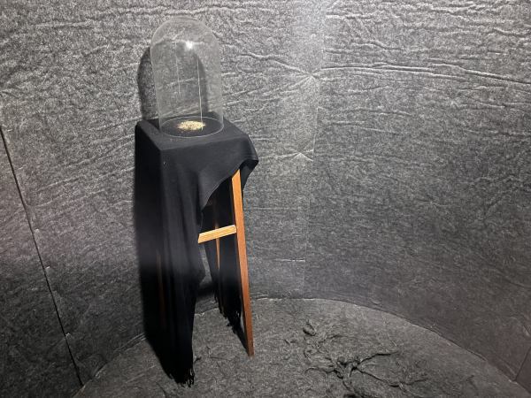  .   . , , 2025.     / .