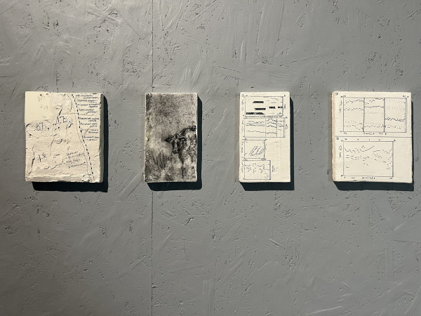  .      . , , 2025.     / .