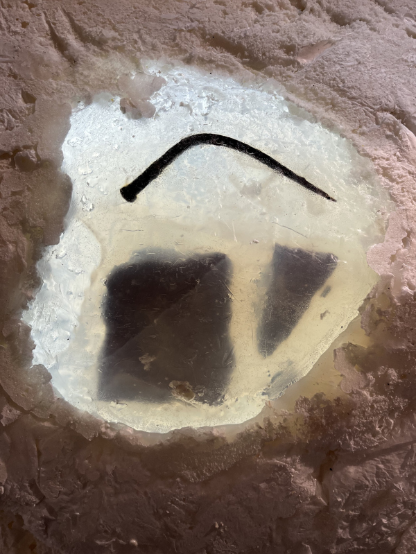  .      . , , 2025.     / .