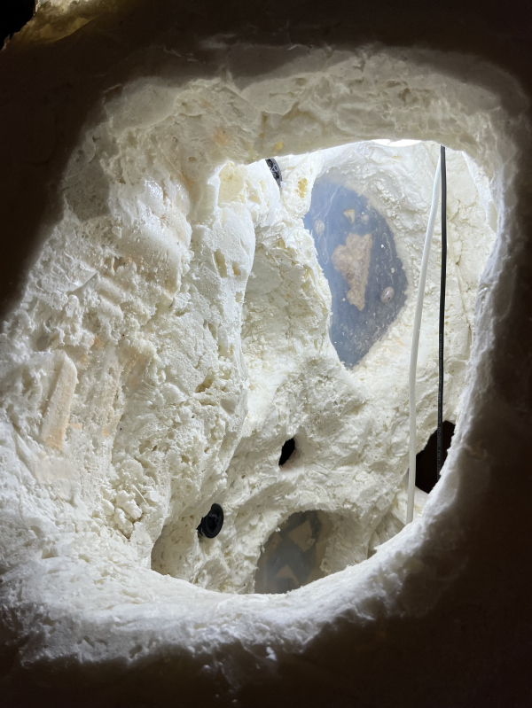  .      . , , 2025.     / .