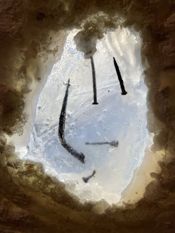  .      . , , 2025.     / .