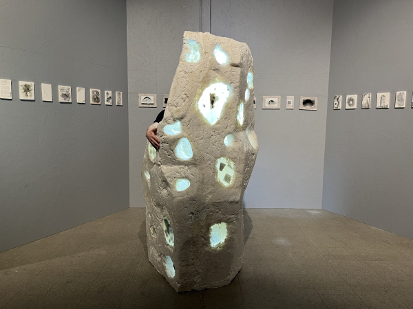  .      . , , 2025.     / .