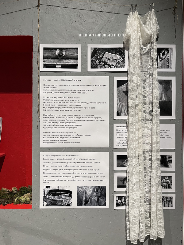  .      . , , 2025.     / .