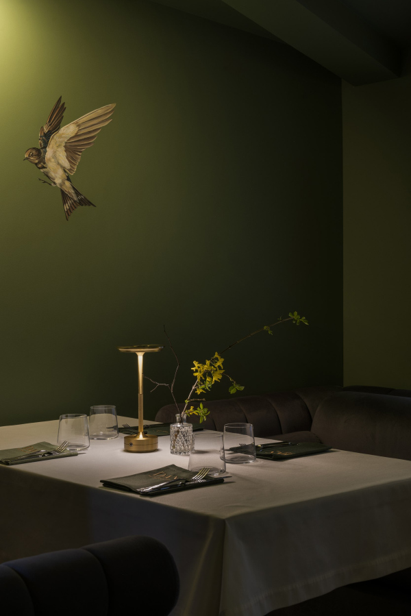    “Dan”     /   KRUG