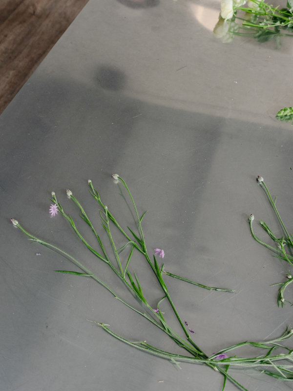 Flower shop UTROM ���������� � ������� ������ / ������������� SUSHKOVADESIGN