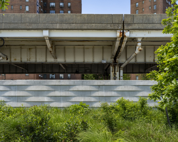      -     Jonathan Morefield & Field Condition /  Bjarke Ingels Group