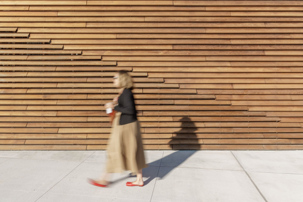   Solar One   Foad Sarsangi /  Bjarke Ingels Group