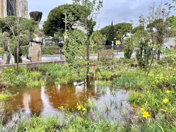 Drop by Drop, , . : Batlleiroig Photo by  DEL RIO BANI /  WAF