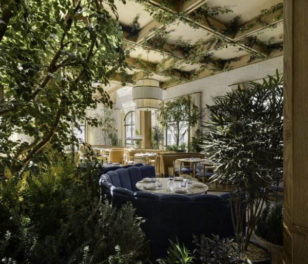 Lavo ()  Rafael Gamo