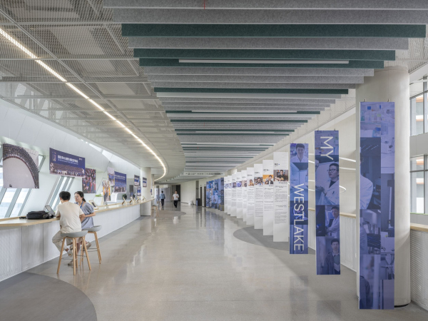        Tian Fangfang /  HENN