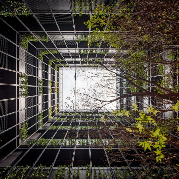  The Telegraph Hotel   Pedro Pegenaute & Silk Road Group