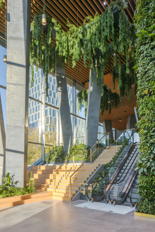   The Bridge   Piotr Krajewski /  UNS