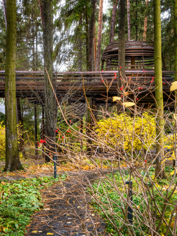 ������ ��� ���������� @ ������ ������