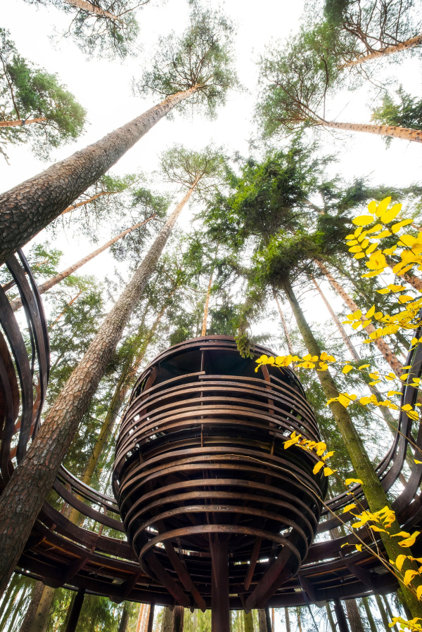 ������ ��� ���������� @ ������ ������