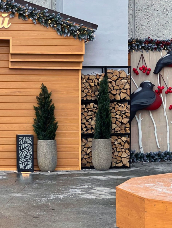 �������� � �������� ������ ��������, 2025 ����������: �� ������ ������� ������������ ������