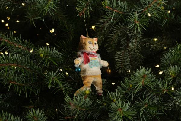 ��������� ������, 5 ���. ����������� ��� ��������� ����� ��� � ���������� ������������� ����������� �����