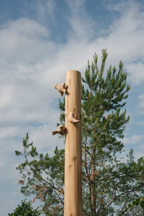 ������� ������������ � ������ ��. �.�. ������. ���������� ������ ���������� � ����� �������� / ������������� AFA Group