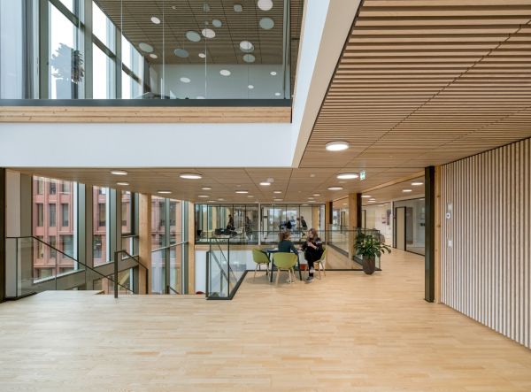 ���������������� ������ WoodHub ���� � Rasmus Hjortshøj