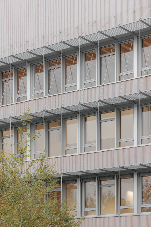 ����� ����� �������� ����� ���� � Salem Mostefaoui