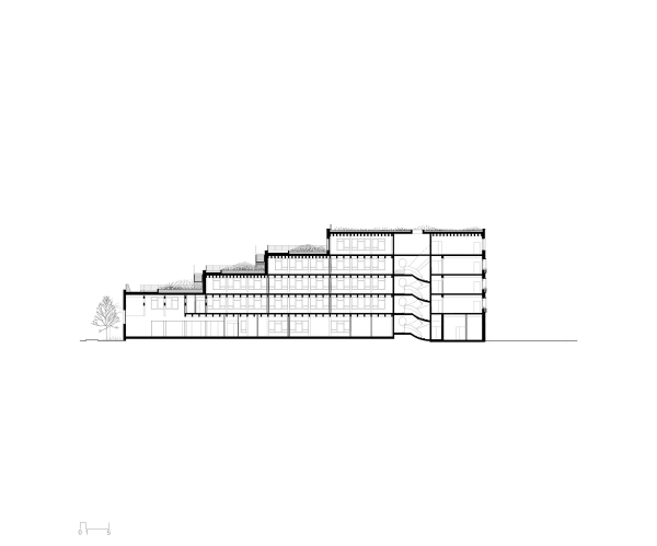 ����� ����� �������� ����� � Tectoniques