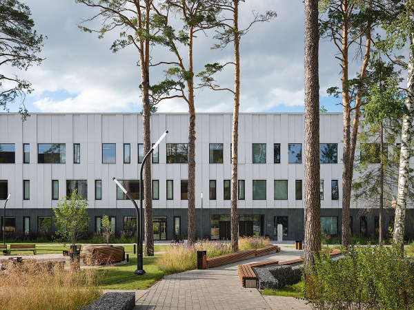 ����� ������ ������-�������������� ����� ��� ���������� � ������� ��������� / ������������� AI Studio