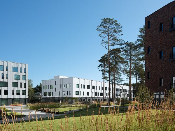 ����� ������ ������-�������������� ����� ��� ���������� � ������� ��������� / ������������� AI Studio