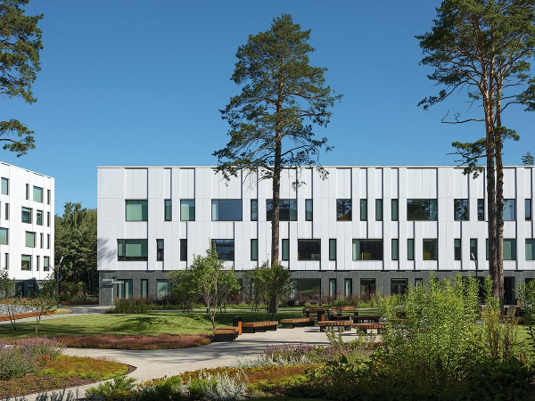 ����� ������ ������-�������������� ����� ��� ���������� � ������� ��������� / ������������� AI Studio