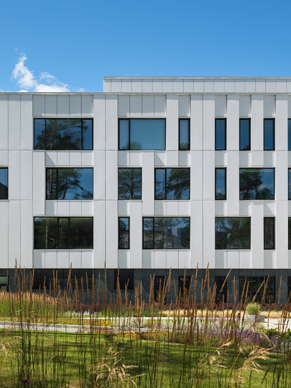 ����� ������ ������-�������������� ����� ��� ���������� � ������� ��������� / ������������� AI Studio