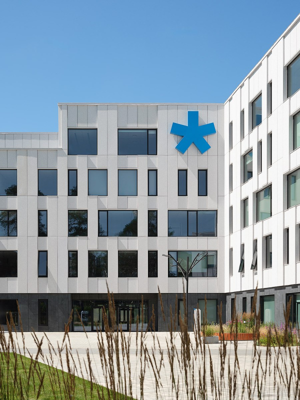 ����� ������ ������-�������������� ����� ��� ���������� � ������� ��������� / ������������� AI Studio