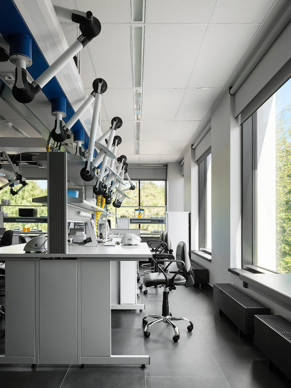 ����� ������ ������-�������������� ����� ��� ���������� � ������� ��������� / ������������� AI Studio