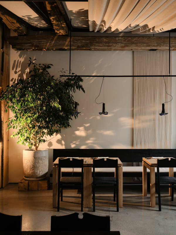 ��������� ���������� ��������� ���� � ������������. �������� ��������� ���� ���������� � ������� ���������� / ������������� SEEU