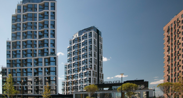 �� Primavera ���������� ������������� ���������  ��������