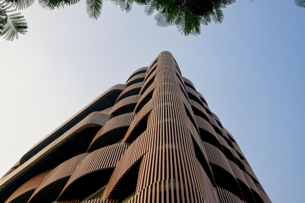 ������� ������ Stella � ������� ���������� � Vinay Panjwani