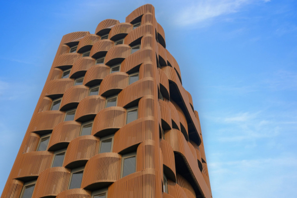 ������� ������ Stella � ������� ���������� � Vinay Panjwani